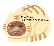 841317610