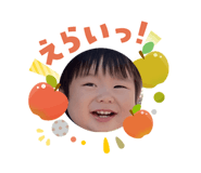 841317657