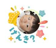 841317686