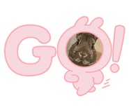 841317697