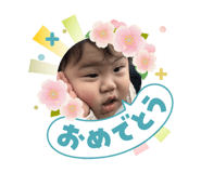 841317744