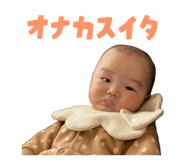 841317761