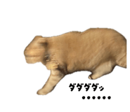 841318198