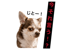 841318362