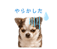 841318370