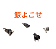 841318603