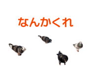841318609