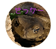 841318612