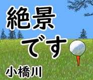 841320861