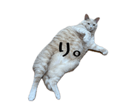 841323359