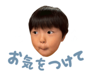 841323954