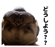 841324033