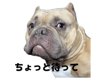 841324034
