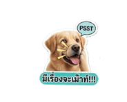 841324146