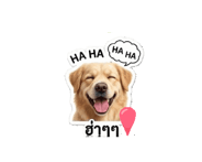 841324155
