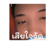 841324565