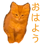 841325442