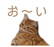 841325447