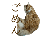 841325451