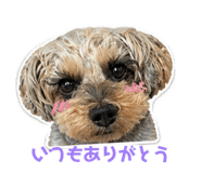 841326153