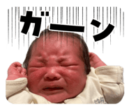 841326216