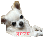841326494