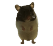 841328965