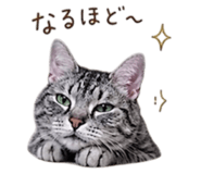 841328978