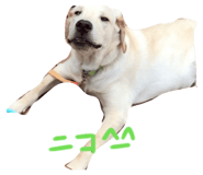 841329546