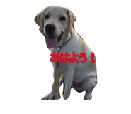 841329552