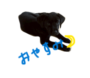 841329553