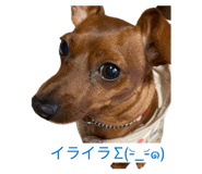 841329668