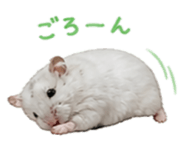 841329850