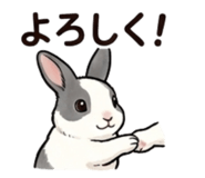 841330008