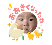 841330066