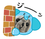 841330080