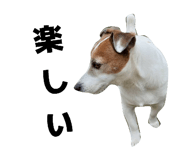 841330181