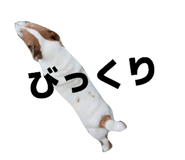 841330185