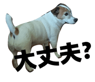 841330198