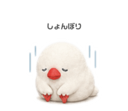 841330312