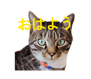 841330425