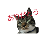 841330429