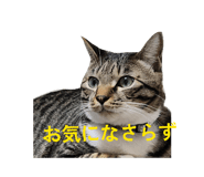 841330433