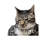 841330439