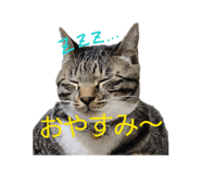 841330440