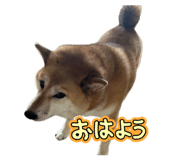 841330467