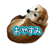 841330468