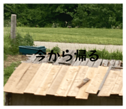 841330718