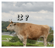 841330719