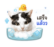 841331854